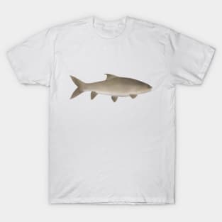 Soro Brook Carp T-Shirt